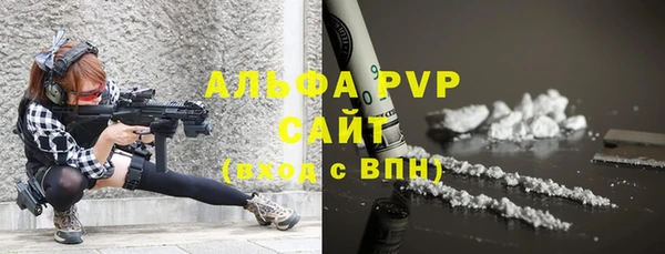 прущие грибы Липки