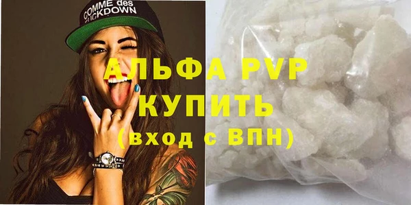 прущие грибы Липки