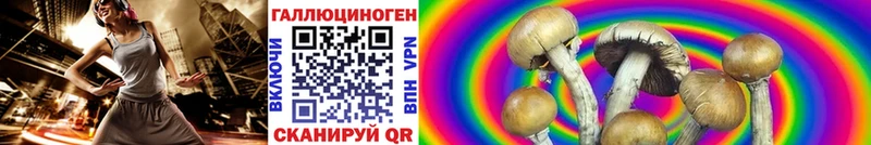 Псилоцибиновые грибы Psilocybine cubensis  Купить  Мензелинск 